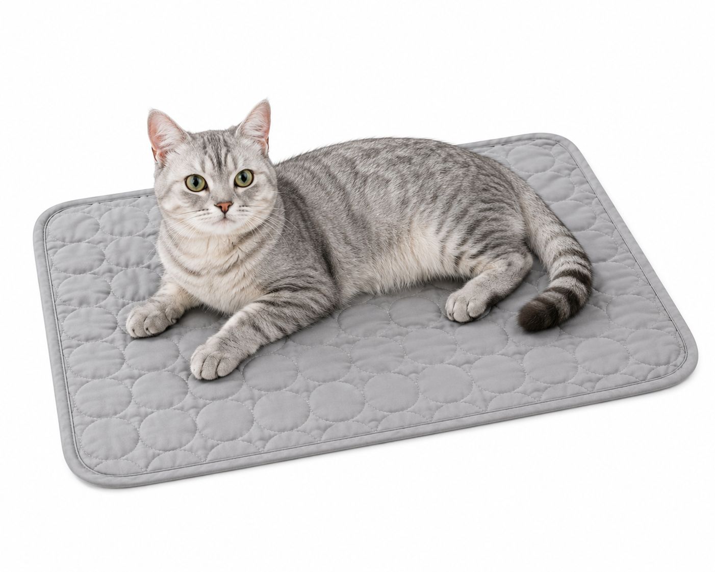 🐾 CoolPet™ | Alfombrilla Refrescante Premium para Perros y Gatos