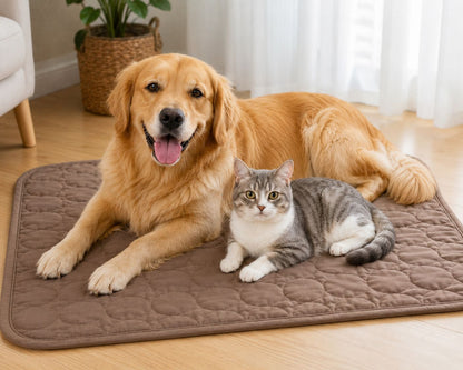 🐾🐶 Premium Kühlmatte PataCool